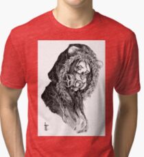 Sad Cat Tri-blend T-Shirt