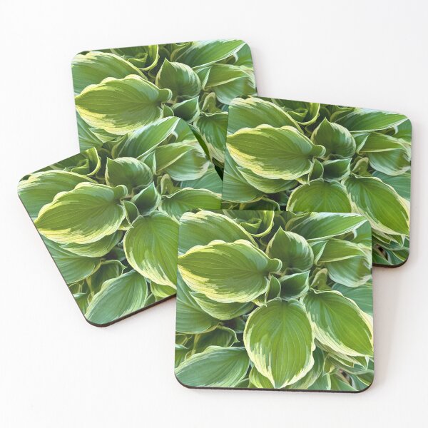 Item preview, Hosta designed and sold by Lee Darnell.