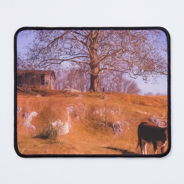 Item preview, To Moo Or Not To Moo...That Is The Question designed and sold by Jim Love.