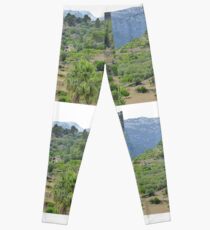 Terracing...................................Majorca Leggings