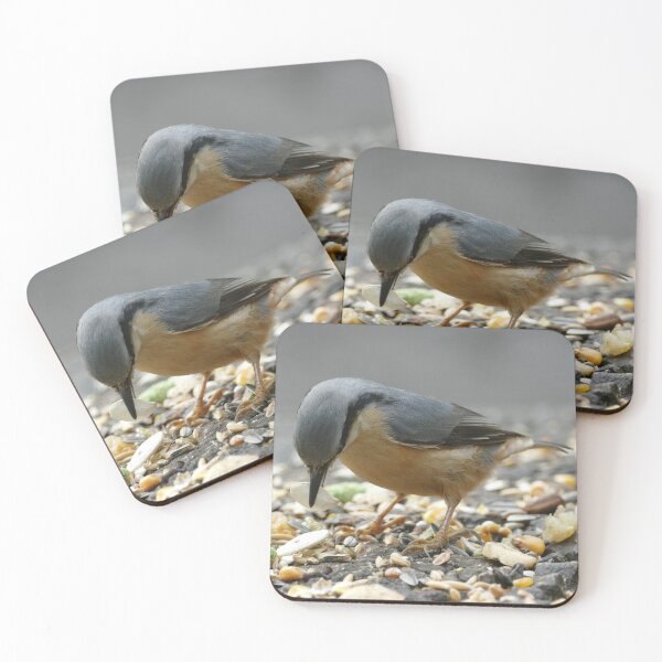 Item preview, Nuthatch designed and sold by Evergreen365.