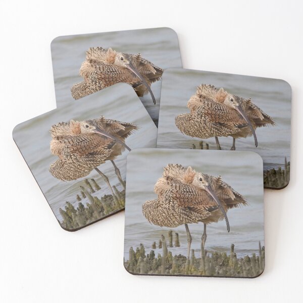 Item preview, Long Billed Curlew designed and sold by SuddenJim.