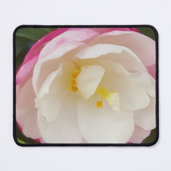 Item preview, Pink And White Camelia  designed and sold by Designsbygroovy.