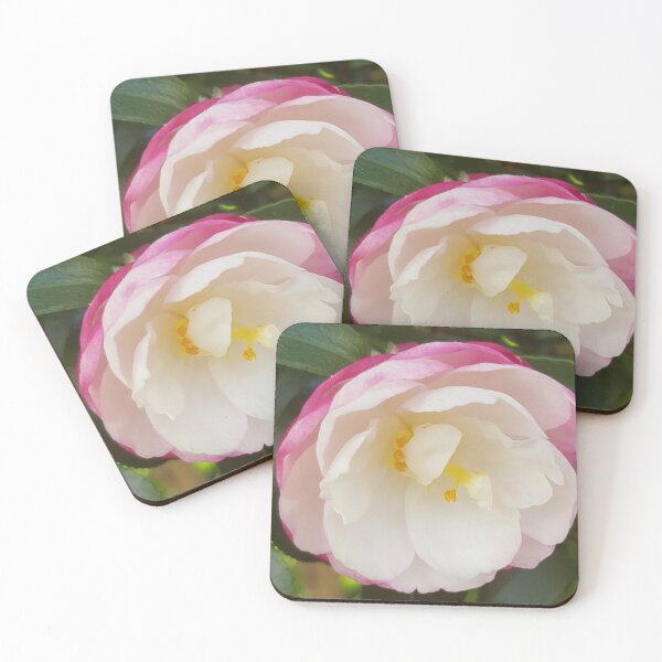 Item preview, Pink And White Camelia  designed and sold by Designsbygroovy.