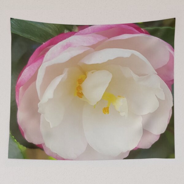 Item preview, Pink And White Camelia  designed and sold by Designsbygroovy.