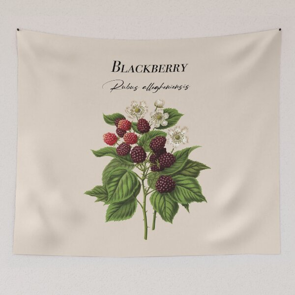 Item preview, Blackberry designed and sold by Aginwulf.