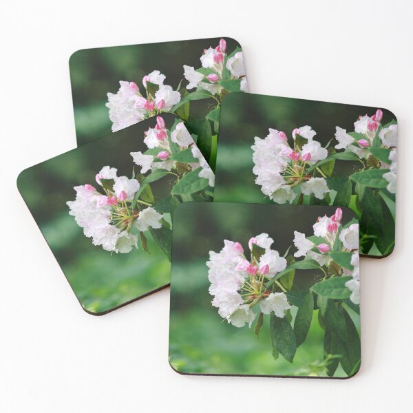 Item preview, Azaleas designed and sold by Pixxowl.