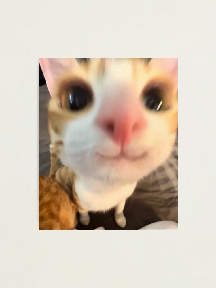 Smile Cats | Villains Wiki | Fandom