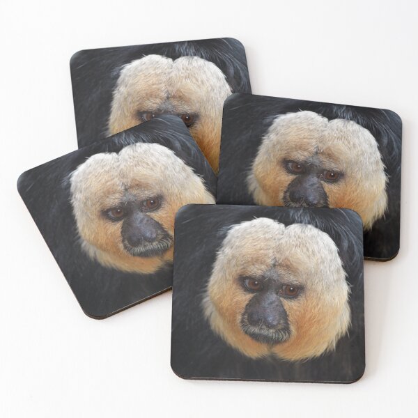 Item preview, Saki Monkey designed and sold by Savannah Gibbs.