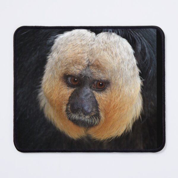 Item preview, Saki Monkey designed and sold by Savannah Gibbs.