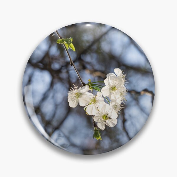 Item preview, Delicate White Blossoms Sprig and a Fine Mesh of Branches designed and sold by Georgia Mizuleva.