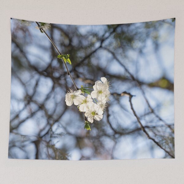 Item preview, Delicate White Blossoms Sprig and a Fine Mesh of Branches designed and sold by Georgia Mizuleva.