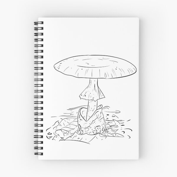 Item preview, Mushrooms of the Mid-West: (Line Art Only) Eastern Caesar’s Amanita Mushroom designed and sold by Cherie Brunetti.