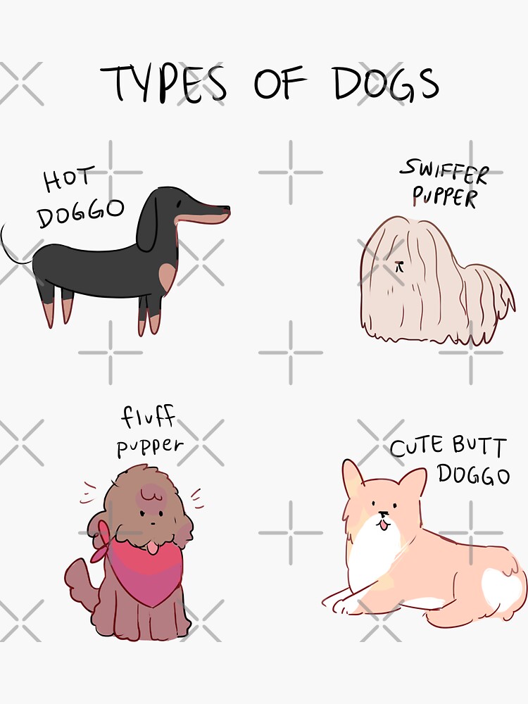 "TYPES OF DOGGOS" Sticker for Sale by randomsplashes | Redbubble