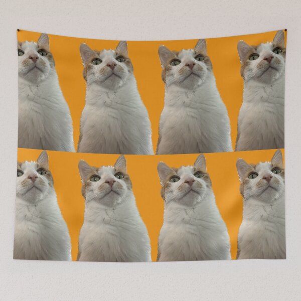 Item preview, Toonce the Cat designed and sold by DaniMationENT.