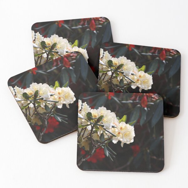 Item preview, Azaleas designed and sold by Pixxowl.