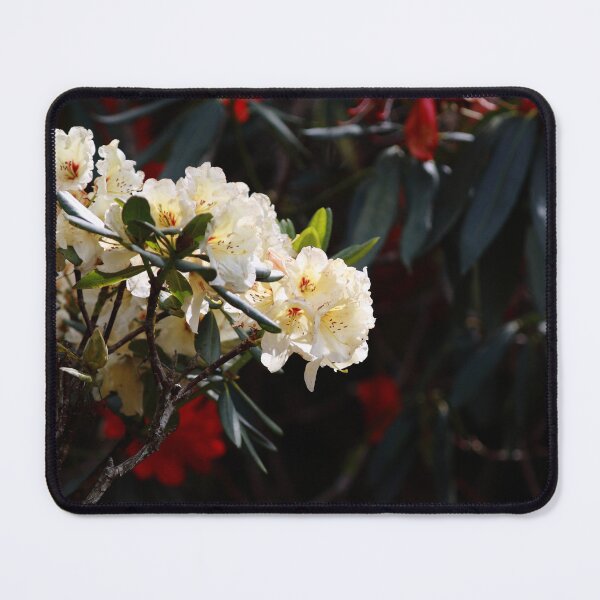 Item preview, Azaleas designed and sold by Pixxowl.