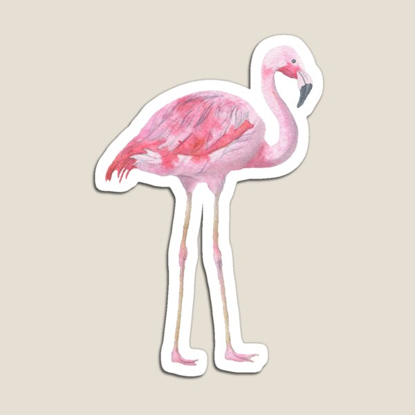 Flamingo Kids Gifts Merchandise Redbubble - gentleman flamingo roblox flamingo free transparent png