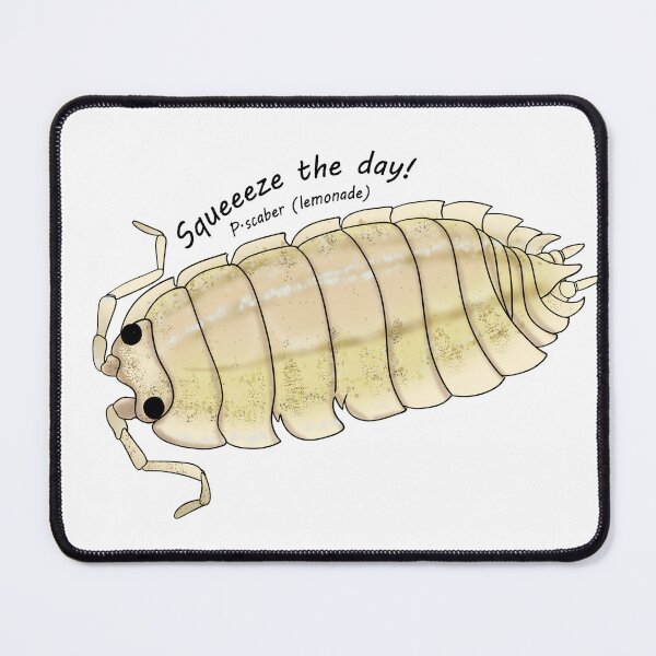 Item preview, P.scaber lemonade (squeeze the day!) designed and sold by Binkykun.