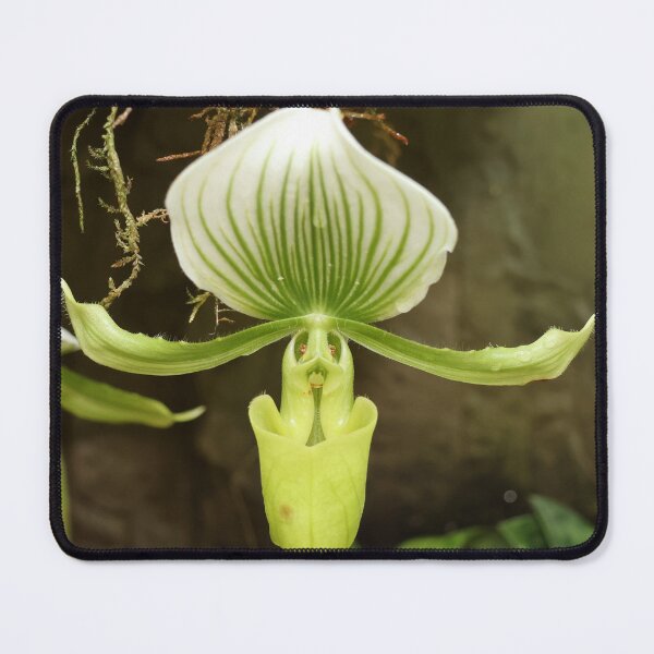 Item preview, Alien In The Garden designed and sold by LeanneAllen.
