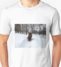 Scottish Highland Cattle Calf 1705 Unisex T-Shirt