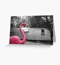 Pink Flamingo Greeting Card