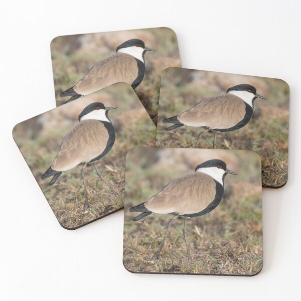 Item preview, Spur Winged Lapwing designed and sold by LaurenTucker.