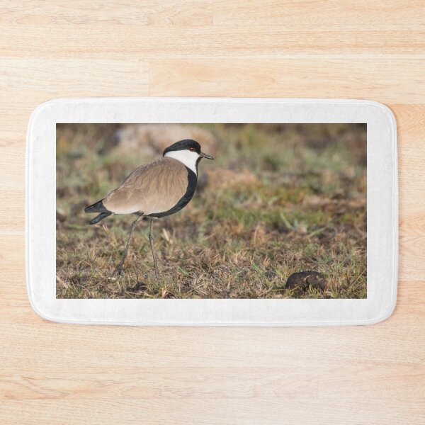 Item preview, Spur Winged Lapwing designed and sold by LaurenTucker.