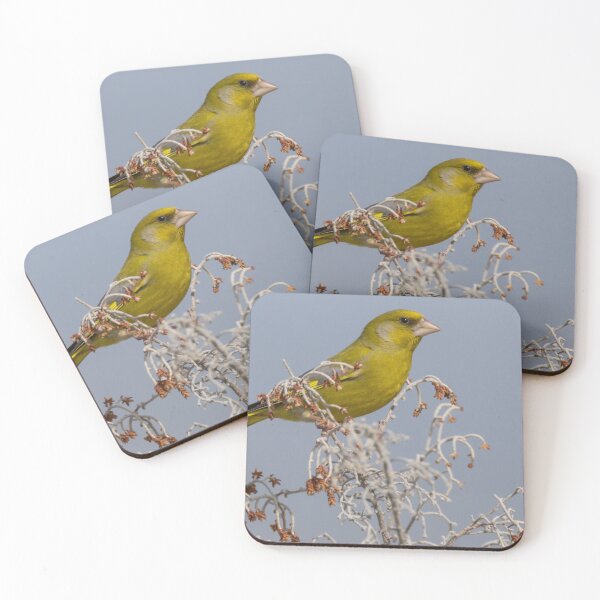 Item preview, Greenfinch designed and sold by LaurenTucker.
