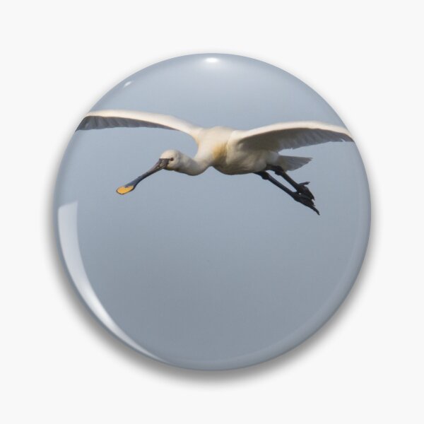 Item preview, Spoonbill designed and sold by LaurenTucker.