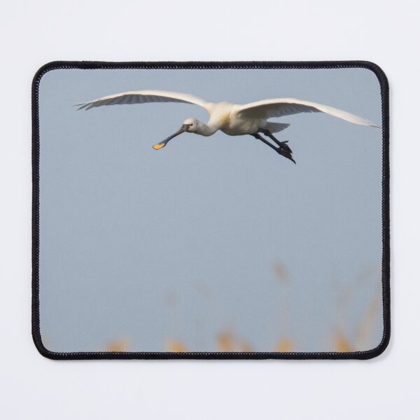 Item preview, Spoonbill designed and sold by LaurenTucker.