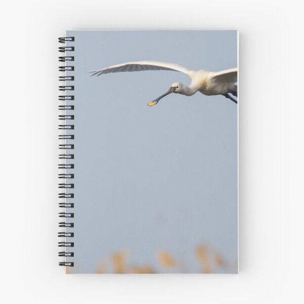 Item preview, Spoonbill designed and sold by LaurenTucker.