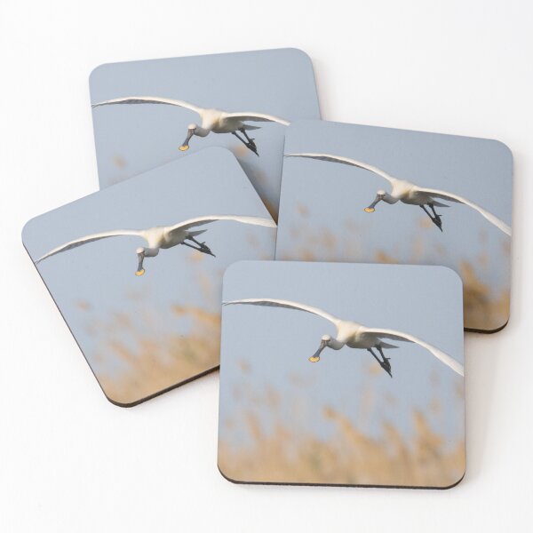 Item preview, Spoonbill designed and sold by LaurenTucker.