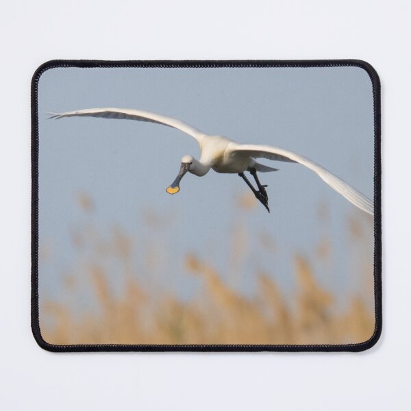 Item preview, Spoonbill designed and sold by LaurenTucker.