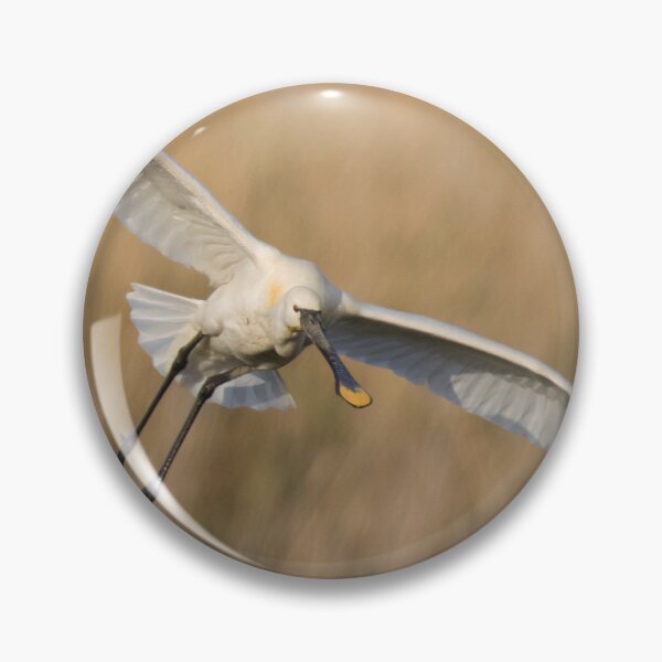 Item preview, Spoonbill designed and sold by LaurenTucker.