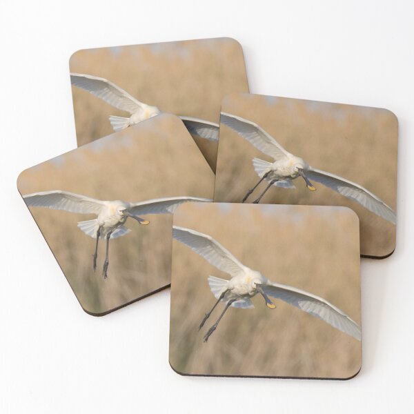 Item preview, Spoonbill designed and sold by LaurenTucker.