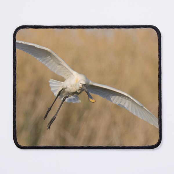 Item preview, Spoonbill designed and sold by LaurenTucker.