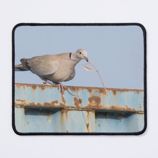 Item preview, Collared Dove designed and sold by LaurenTucker.
