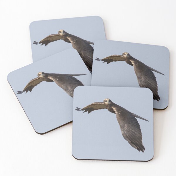 Item preview, Marsh Harrier designed and sold by LaurenTucker.