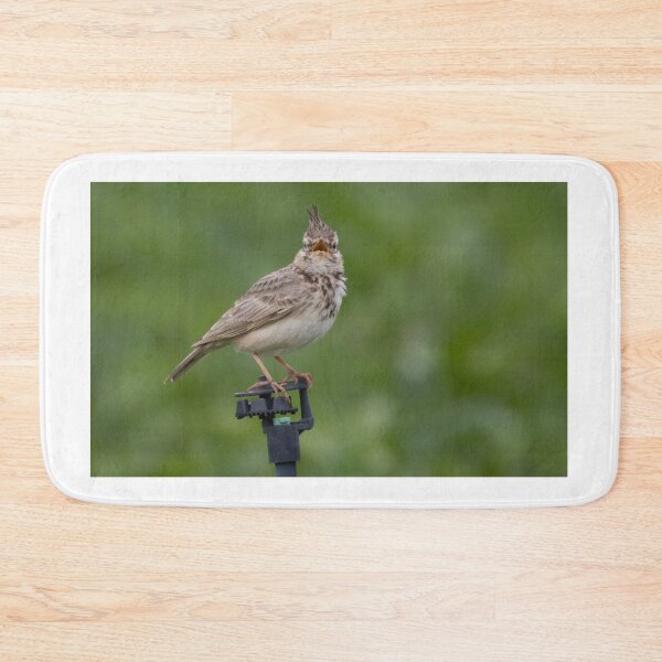 Item preview, Crested Lark designed and sold by LaurenTucker.