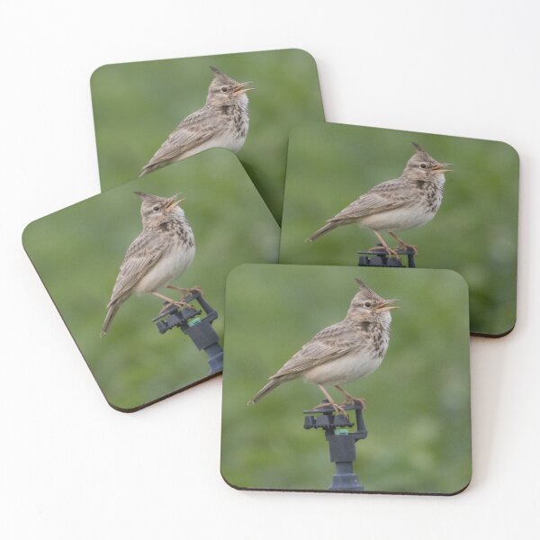 Item preview, Crested Lark designed and sold by LaurenTucker.