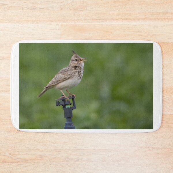Item preview, Crested Lark designed and sold by LaurenTucker.