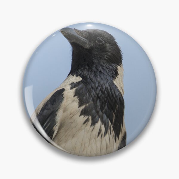 Item preview, Hooded Crow designed and sold by LaurenTucker.