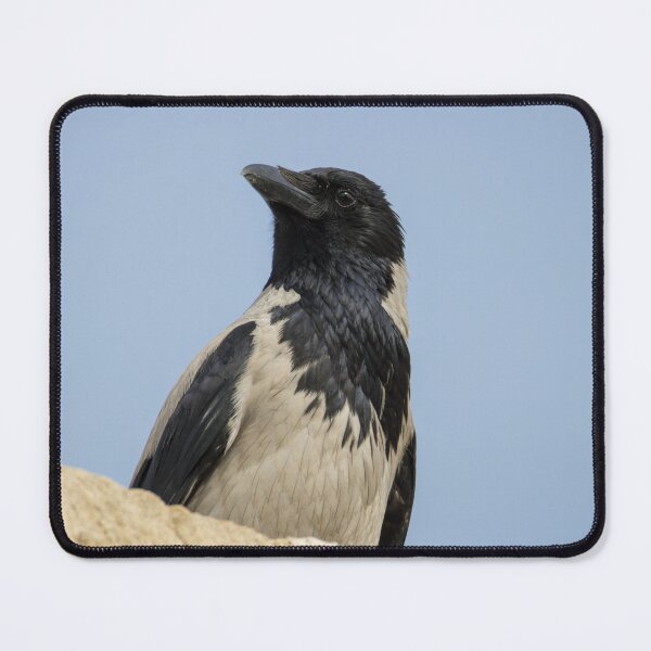 Item preview, Hooded Crow designed and sold by LaurenTucker.