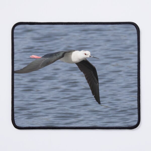 Item preview, Black Winged Stilt designed and sold by LaurenTucker.