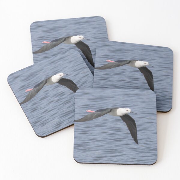 Item preview, Black Winged Stilt designed and sold by LaurenTucker.