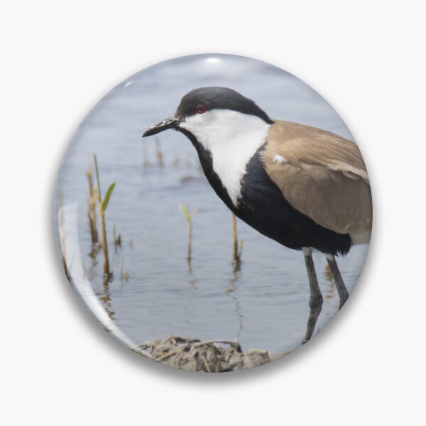 Item preview, Spur Winged Lapwing designed and sold by LaurenTucker.