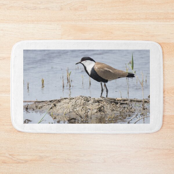 Item preview, Spur Winged Lapwing designed and sold by LaurenTucker.