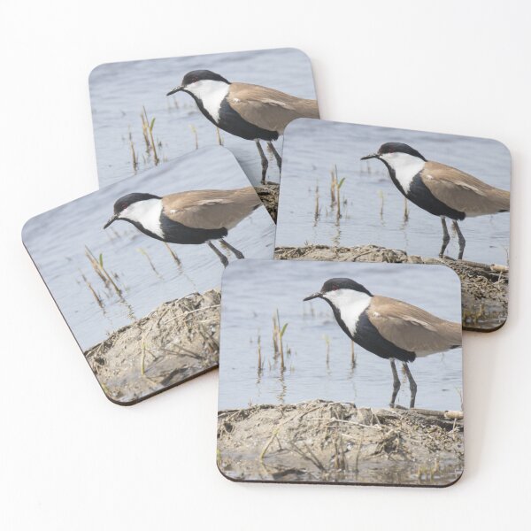 Item preview, Spur Winged Lapwing designed and sold by LaurenTucker.