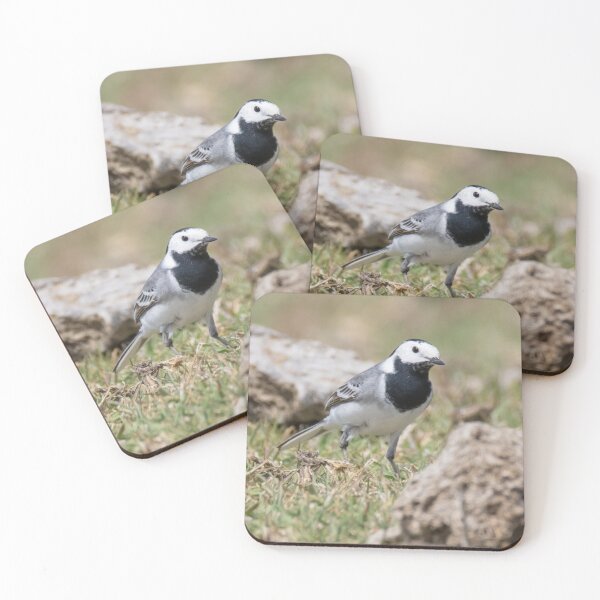 Item preview, White Wagtail designed and sold by LaurenTucker.